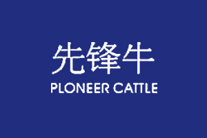 先锋牛PIONEERCATTLE