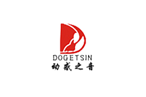 动感之音DOGETSIN