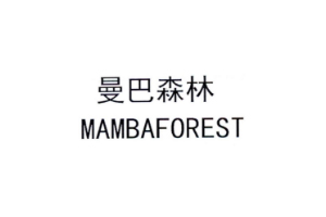 曼巴森林+MAMBAFOREST